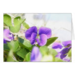 Lovely Spring Violet Greeting Cards