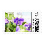 Lovely Spring Violet Postage Stamps