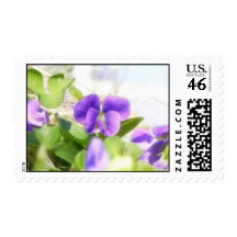 Lovely Spring Violet Postage Stamps