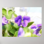 Lovely Spring Violet Poster