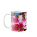 Lovely Tree in Bloom mugs