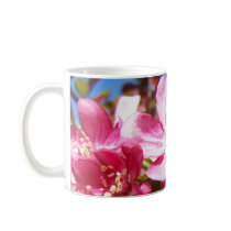 Lovely Tree in Bloom mugs