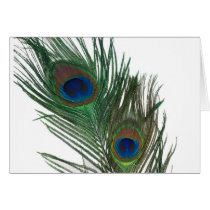 Lovely White Peacock Feather Greeting Cards