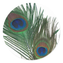 Lovely White Peacock Feather Stickers