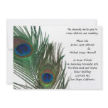 wedding, peacock, feather, lovely, bride, groom,