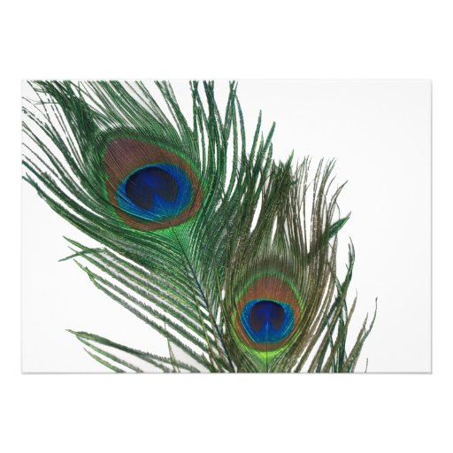 Lovely White Peacock Wedding Invite