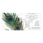 Lovely White Peacock Wedding Program Rack Cards