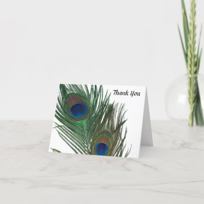 Lovely White Peacock Wedding Thank You Card