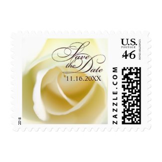 Lovely White Rose Save The Date Small Postage stamp