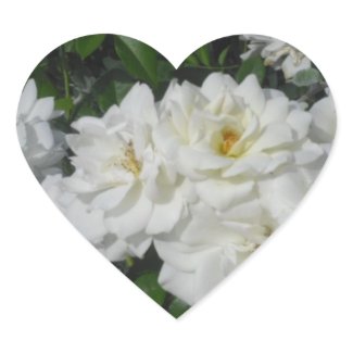 Lovely White Roses Sticker sticker