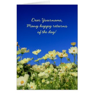 Lovely Yellow Cosmos Clear Blue Sky Flower Field Card