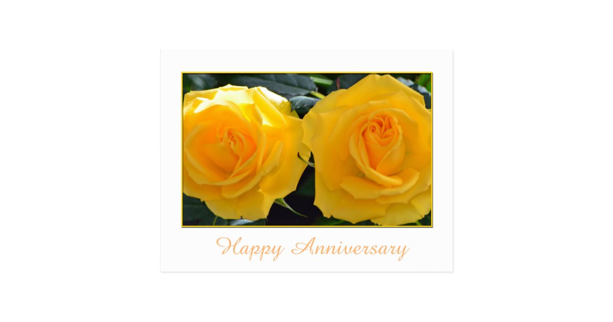 Lovely yellow rose flowers happy anniversary postcard Zazzle