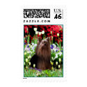 Lovely Yorkshire Terrier postage by arenasfoxterrier Lovely Yorkshire Terrier postage