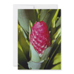 LovelyRed flower, bromeliad quesnelia from French Personalized Invitation