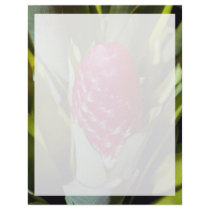 LovelyRed flower, bromeliad quesnelia from French Letterhead Template