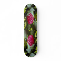 LovelyRed flower, bromeliad quesnelia from French Skate Deck