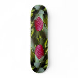 LovelyRed flower, bromeliad quesnelia from French Skate Deck