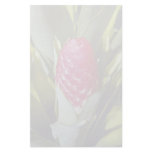 LovelyRed flower, bromeliad quesnelia from French Custom Stationery
