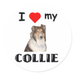 LoveMyCollie