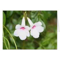 Lovers Flowers Card