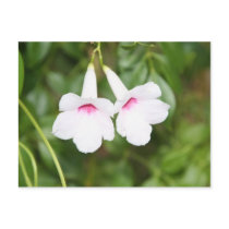 Lovers Flowers Postcard