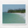 Lovers Key Beach Mouse Mats