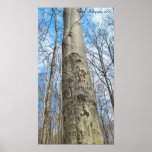 Lovers Lane Print
