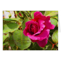 Lovers Rose cards by bigjohnxx Lovers Rose cards