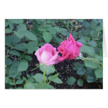 Lovers Roses cards