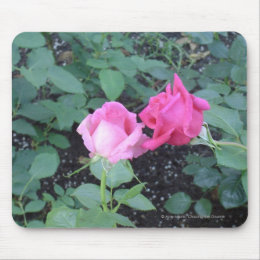 Lovers Roses mousepad