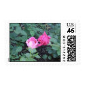 Lovers Roses stamp