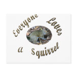 Loves a Squirrel Postcard