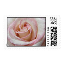Love's First Blush Rose Postage Stamps