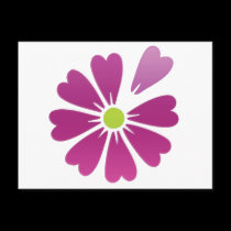 loves me not .. loves me postcards