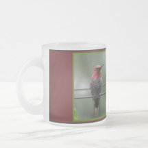 Love's Point Humming Bird Mug 1