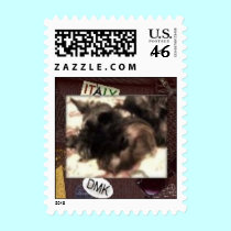 Loves To Pose Schnauzer stamps
