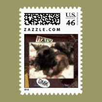 Loves To Pose Schnauzer postage