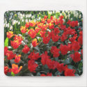 Love's Truest Language mousepads