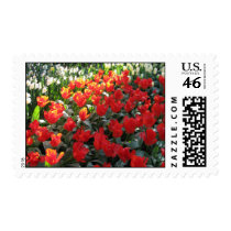 Love's Truest Language Postage Stamps