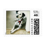 Lovin' Lucy Stamp stamps