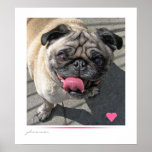 Lovin' Pug Poster