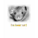 Lovin' Rat T-Shirt