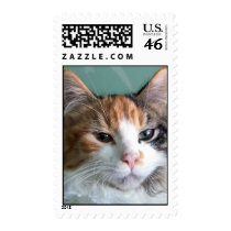 Loving Eyes Stamp