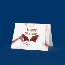 Loving Hands cards