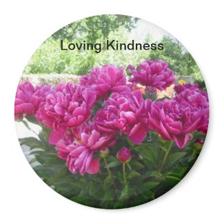 Loving Kindness Peony Magnet magnet