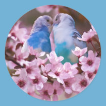 Loving Parakeets Sticker
