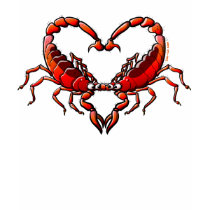 Loving Scorpions t-shirts