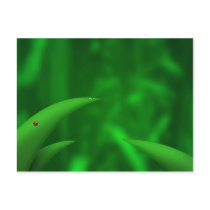 Loving the Greens! postcards by thebard80 Loving the Greens! postcards