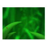 Loving the Greens! Postcards