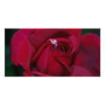 Loving the red rose and meaning custom photo card
